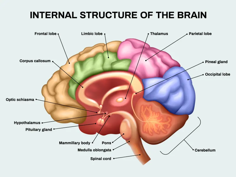 Spiritual Experiences: How real they are?